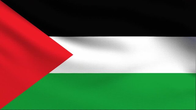 Full screen loop video of Palestine flag waving