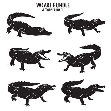 Black Yacare caiman Silhouette Vector, High Quality Illustration on White Background