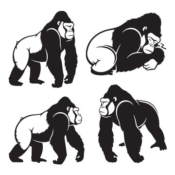 Black Zorilla Silhouette Vector, High Quality Illustration on White Background