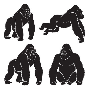 Black Zorilla Silhouette Vector, High Quality Illustration on White Background