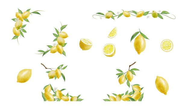 Watercolor Lemon Illustrations and Decorative Elements Collection on transparent Background300dpi