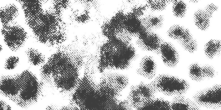 Black and White Halftone Animal Print Vector Background with Leopard and Dalmatian Spot Patterns