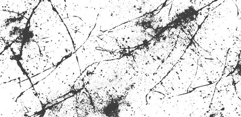 Fototapeta premium Black and White Grunge Distress Texture with Splattered Lines and Cracked Marble Pattern Vector Background
