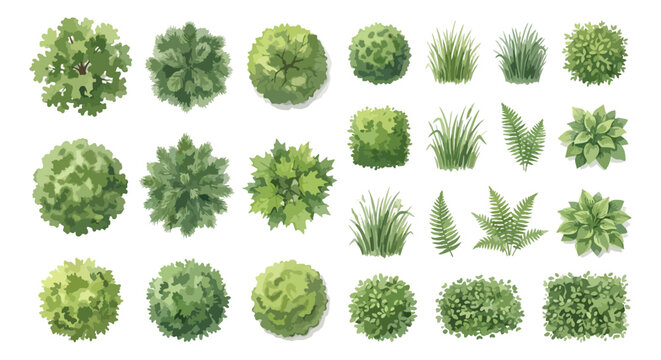 Top view landscape plants vector set, architectural garden trees and bushes symbols, green vegetation icons for site plan design and map making