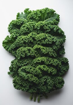 Fresh Green Kale Bunch on Clean White Background