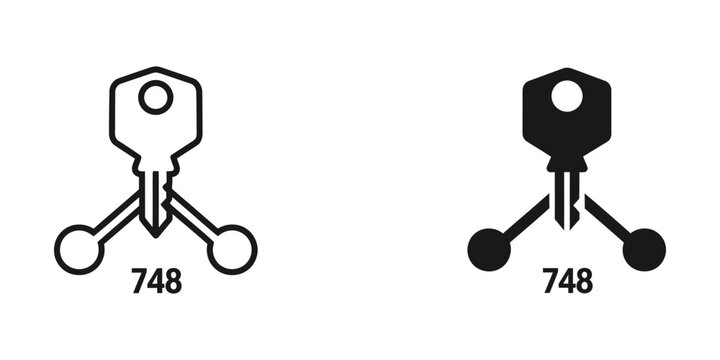 Comparison of outline and filled key designs with number 748