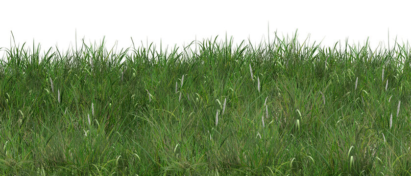 green grass background/High-resolution image of fresh green grass with sharp details and natural texture, perfect for backgrounds, nature themes, and design projects.