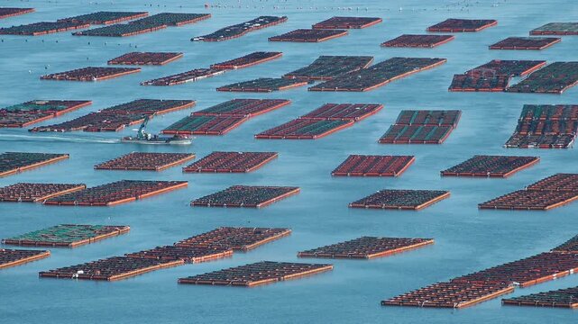 Scenic coastal landscape with abalone farms in the sea of Wando Korea 한국 전라남도 완도 바다의 전복 양식장 풍경