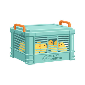 Chick transport box icon with ventilated crate, flat poultry hatchery design