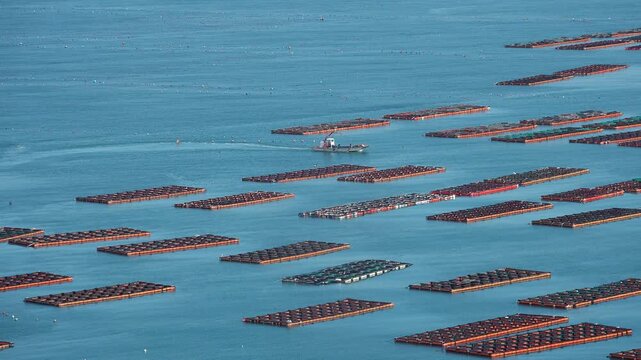 
Scenic coastal landscape with abalone farms in the sea of Wando Korea 한국 전라남도 완도 바다의 전복 양식장 풍경