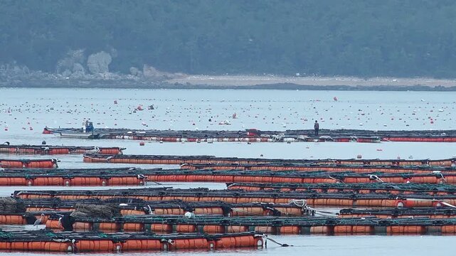 Scenic coastal landscape with abalone farms in the sea of Wando Korea  한국 전라남도 완도 바다의 전복 양식장 풍경