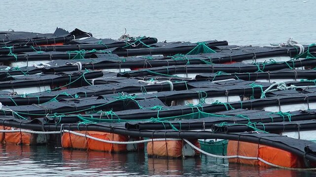 Scenic coastal landscape with abalone farms in the sea of Wando Korea 한국 전라남도 완도 바다의 전복 양식장 풍경
