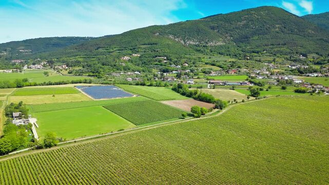 Solar panels integrated with vineyard fields in Italy, agrivoltaic system combining agriculture and energy production, aerial view