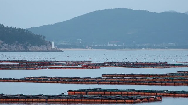 Scenic coastal landscape with abalone farms in the sea of Wando Korea 한국 전라남도 완도 바다의 전복 양식장 풍경