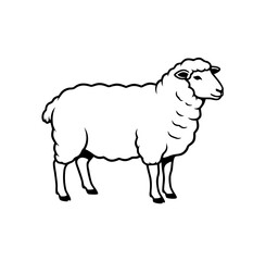Obraz premium black and white sheep