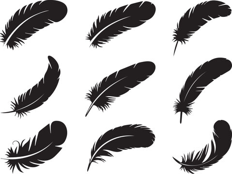 Set of black and white feathers isolated Vector
