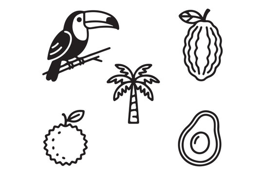 Tropical fruits toucan and palm tree in a simple black and white illustration