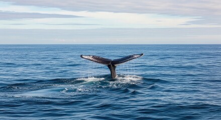 Naklejka premium Whale tail in ocean on world water day celebrating marine conservation and water preservation