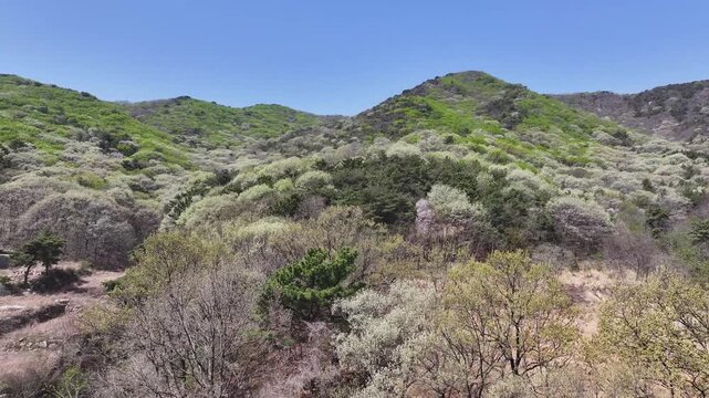 인천 영종도내 소무의도