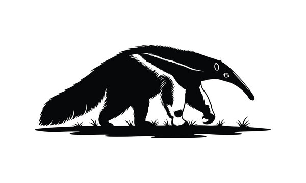 Giant anteater walking on grass field silhouette wildlife illustration.