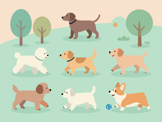 Fototapeta premium Happy Dog Life