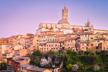 Obraz premium In the historic center of Siena