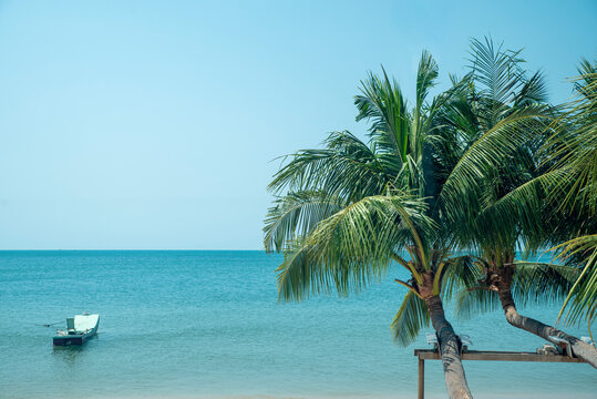 Stunning tropical seascape with boats framed by palm trees