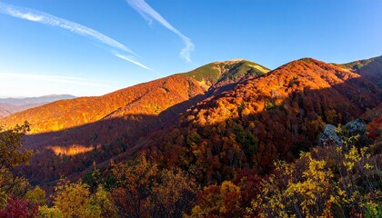 Obraz premium Wide Autumn Mountain View with Vibrant Trees and Sunset Glow