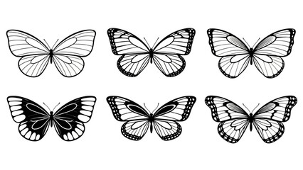 Collection of detailed black and white butterfly illustrations with intricate wing patterns for