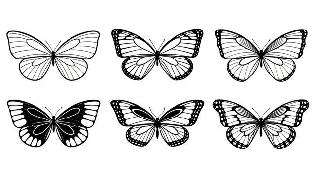 Collection of detailed black and white butterfly illustrations with intricate wing patterns for