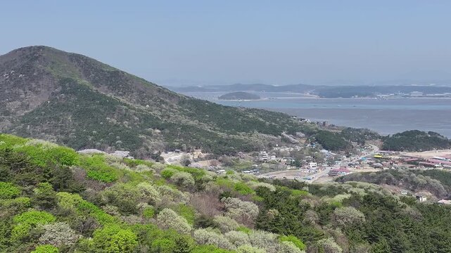 인천 영종도내 소무의도