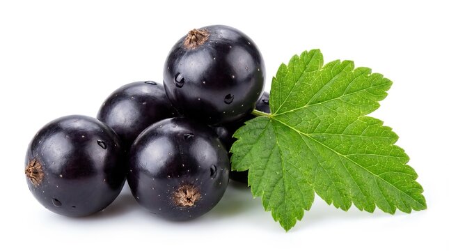 Fresh blackcurrant berries with green leaf, ripe dark purple currants for healthy food, antioxidant fruit close-up isolated PNG with Transparent Background