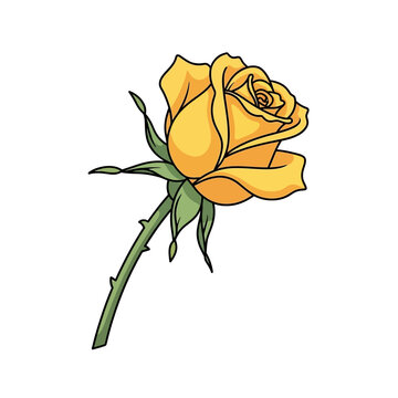 A beautifully illustrated single yellow rose with delicate petals and green stem