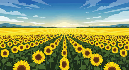Fototapeta premium Vast Sunflower Field Under Blue Sky at Sunset