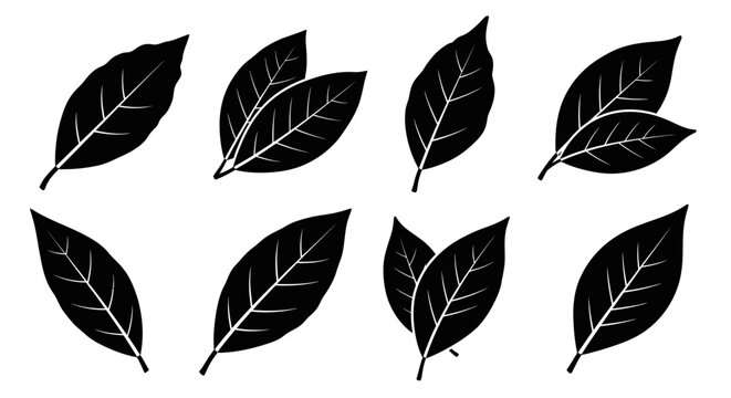 Set of Black Bay Leaves Silhouettes, Isolated on White Background