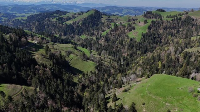 Panoramic view of green Swiss hills, forests, and valleys under clear sky in springtime.