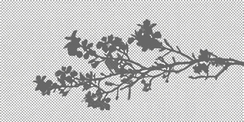 Dark silhouette of tree branches and leaves against a transparent background © Poly