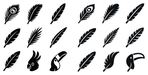 Fototapeta premium Nature icons with feather peacock cockatoo toucan silhouette minimal