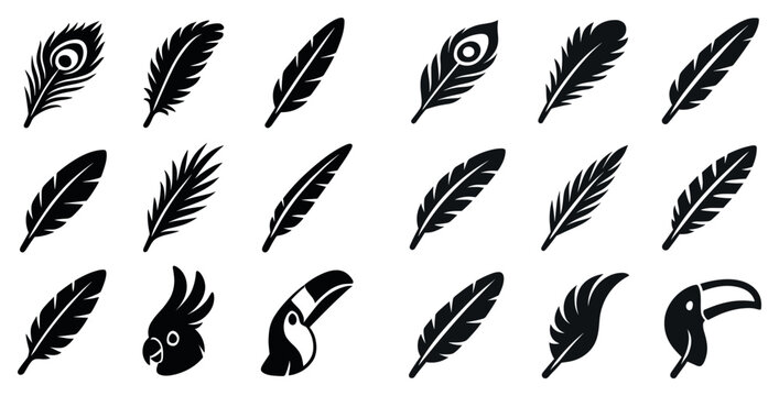 Nature icons with feather peacock cockatoo toucan silhouette minimal