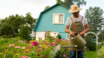 Man waters vibrant garden with metal watering can © I