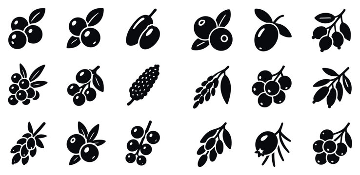 Nature icons with berry leaf cluster flat