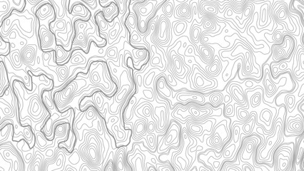 Minimalist line art abstract wavy pattern background © Mst