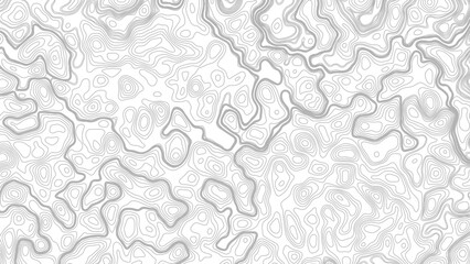 Geographic map elevation lines in minimalist gray and white © Mst