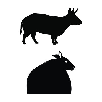 Silhouette of a nilgiri tahr a mountain goat in two different poses