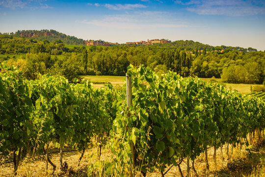 Vineyards and Roussillon on horizon. Vaucluse department of the Provence-Alpes-Cote d'Azur in France.