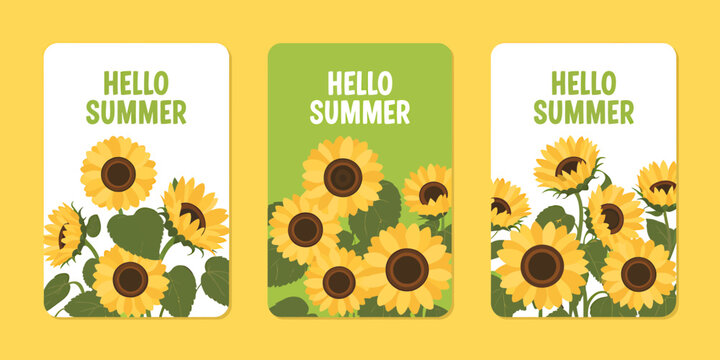 Hello summer greeting cards with yellow sunflowers on white green backgrounds