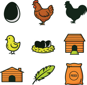 Set of colorful chicken farm and poultry farming icons.