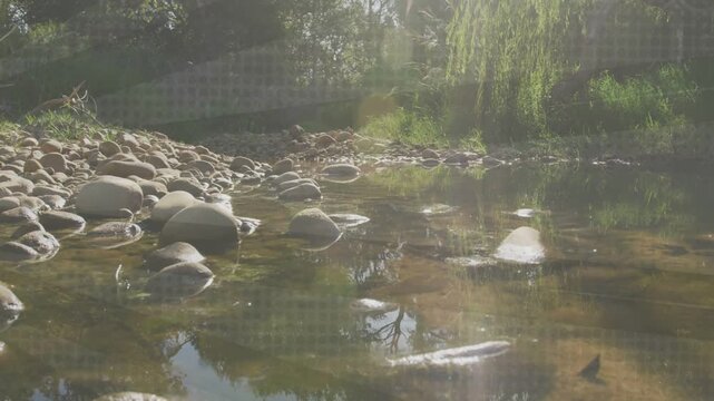 Camera drifting as sunlight intensifying, revealing stones, lens flare, pebbles for nature creators