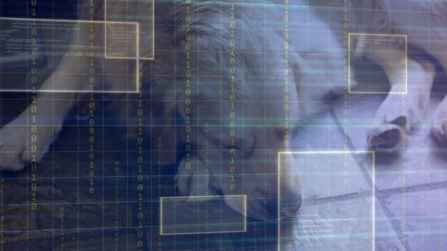 Home monitor detecting motion, golden retriever lying curled while faint grid forming for security