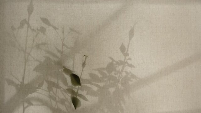 Light and shadow sunset on old retro beige fabric texture. vintage textile background. Abstract backdrop with floral pattern and crossed lines shadows.